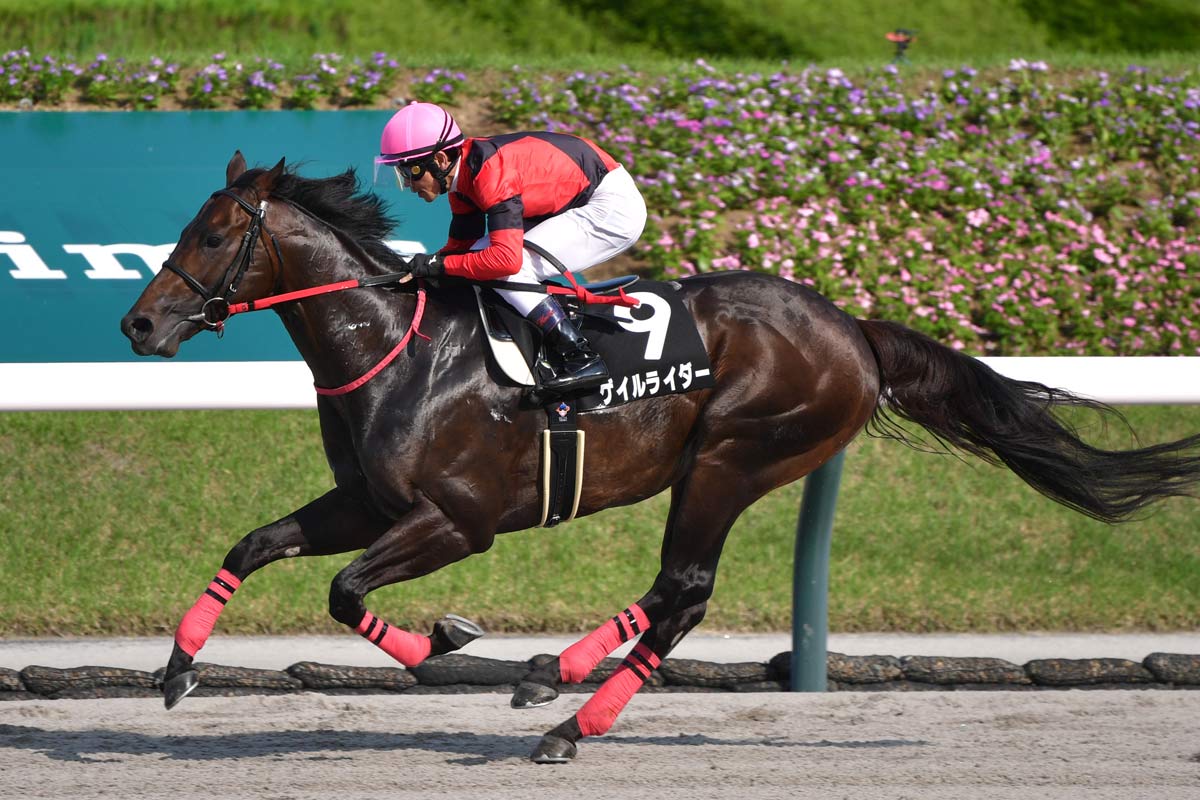 武豊×サイレンススズカ 伝説の金鯱賞〝復刻馬券〟にファン歓喜「絶対に