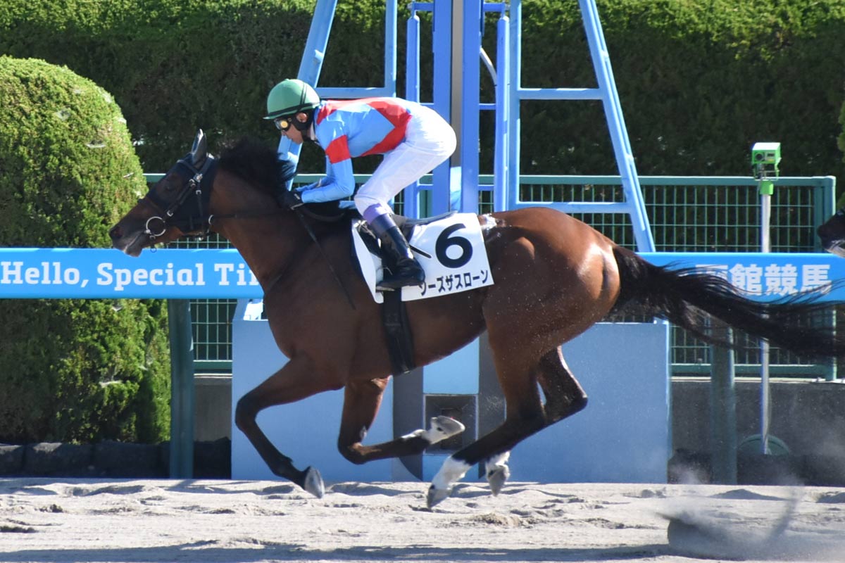02年皐月賞馬ノーリーズン死す 25歳 抽選突破から単勝万馬券での劇