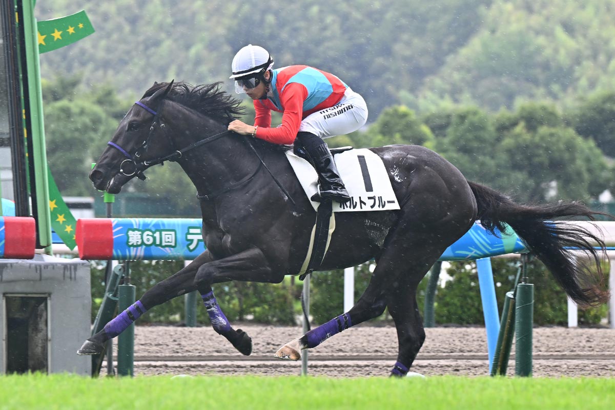 プレゼント】矢作厩舎〝JRA通算800勝〟特製記念グッズを大放出
