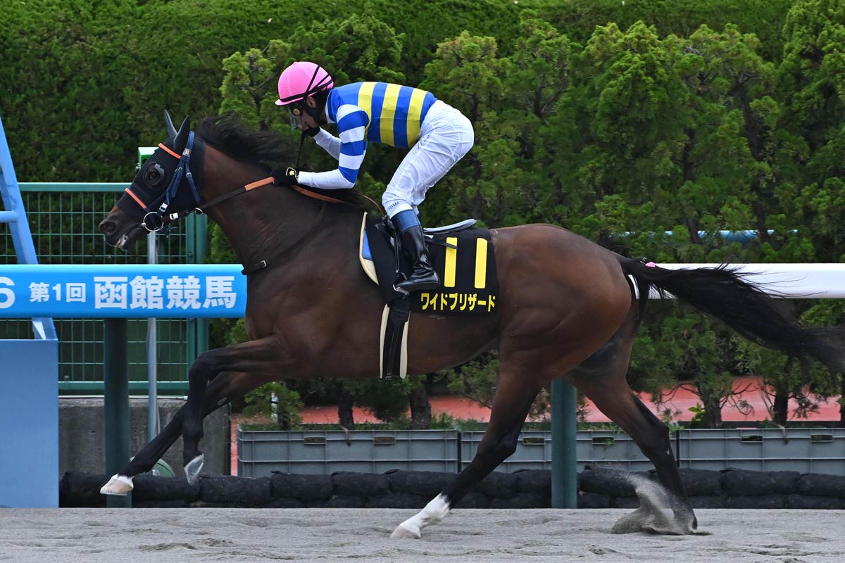 カランダガンはドバイシーマクラシックで復帰 連覇が懸かるジャパンC