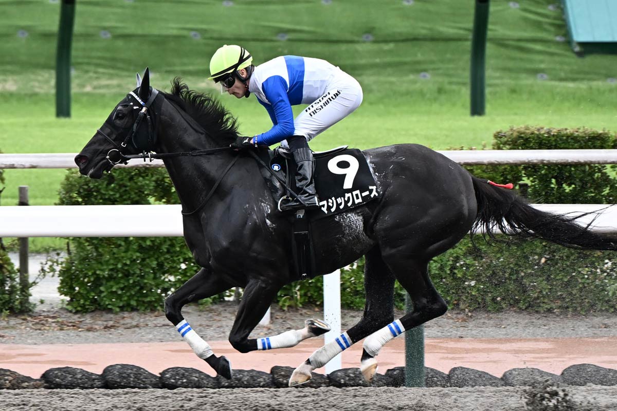 東京大賞典】フォーエバーヤング〝8割のデキ〟で完勝！ 坂井瑠星が