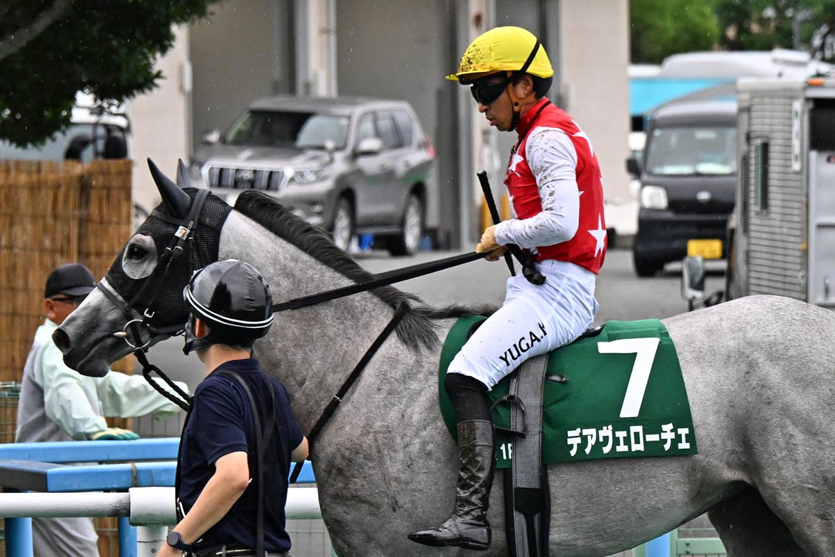2000年フェブラリーS】ペリエとの出会いで覚醒！ウイングアローの