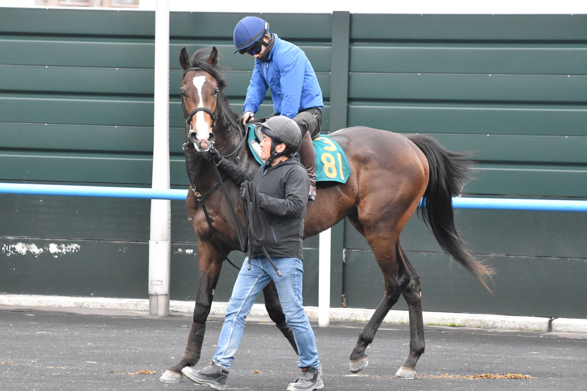 ドバイシーマクラシック】カランダガンが盤石の差し切り GⅠ・5連勝で