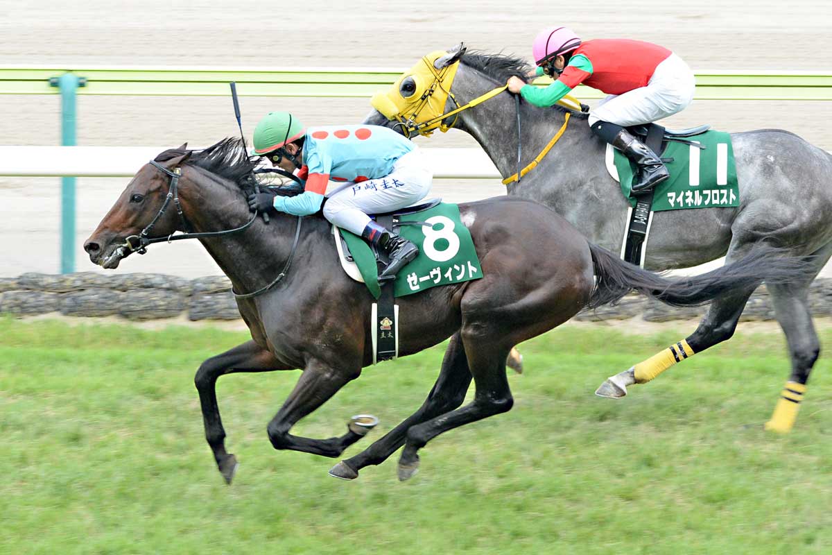 ドバイシーマクラシック】カランダガンが盤石の差し切り GⅠ・5連勝で