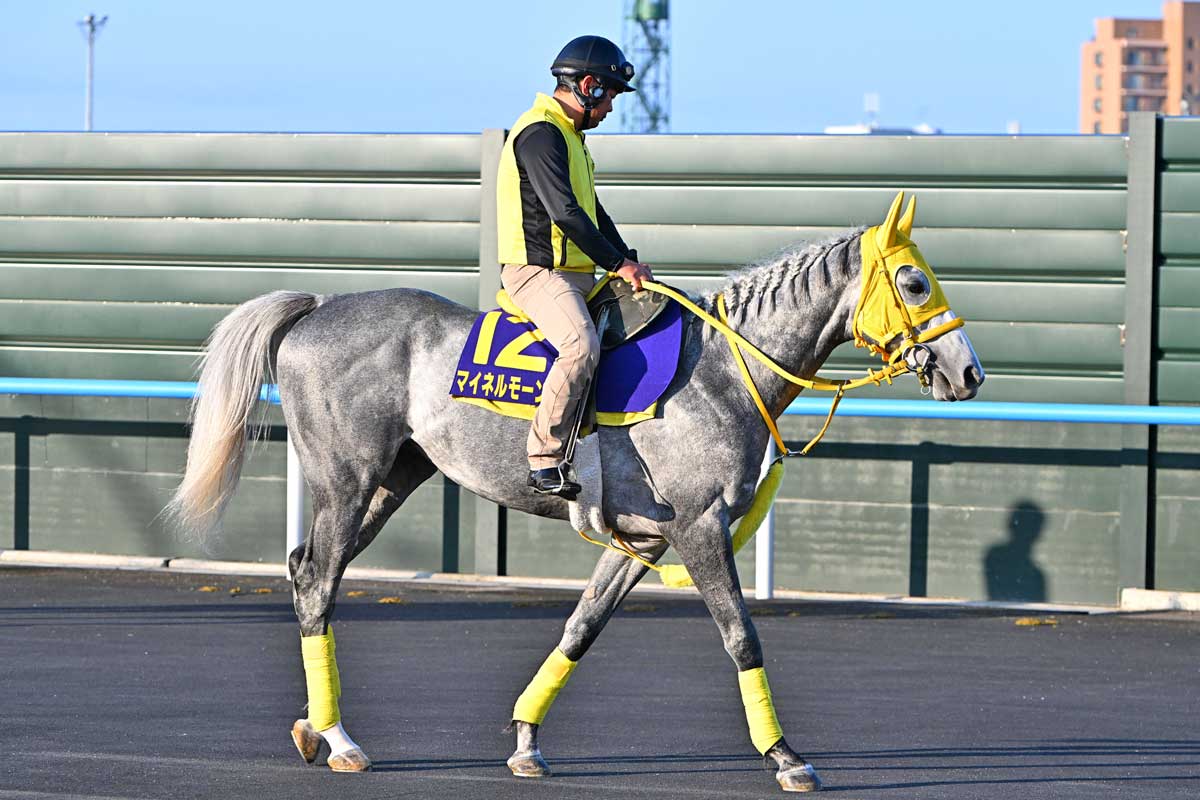 武豊ウオッカ衝撃の7馬身差V！「一瞬で抜け出してしまった