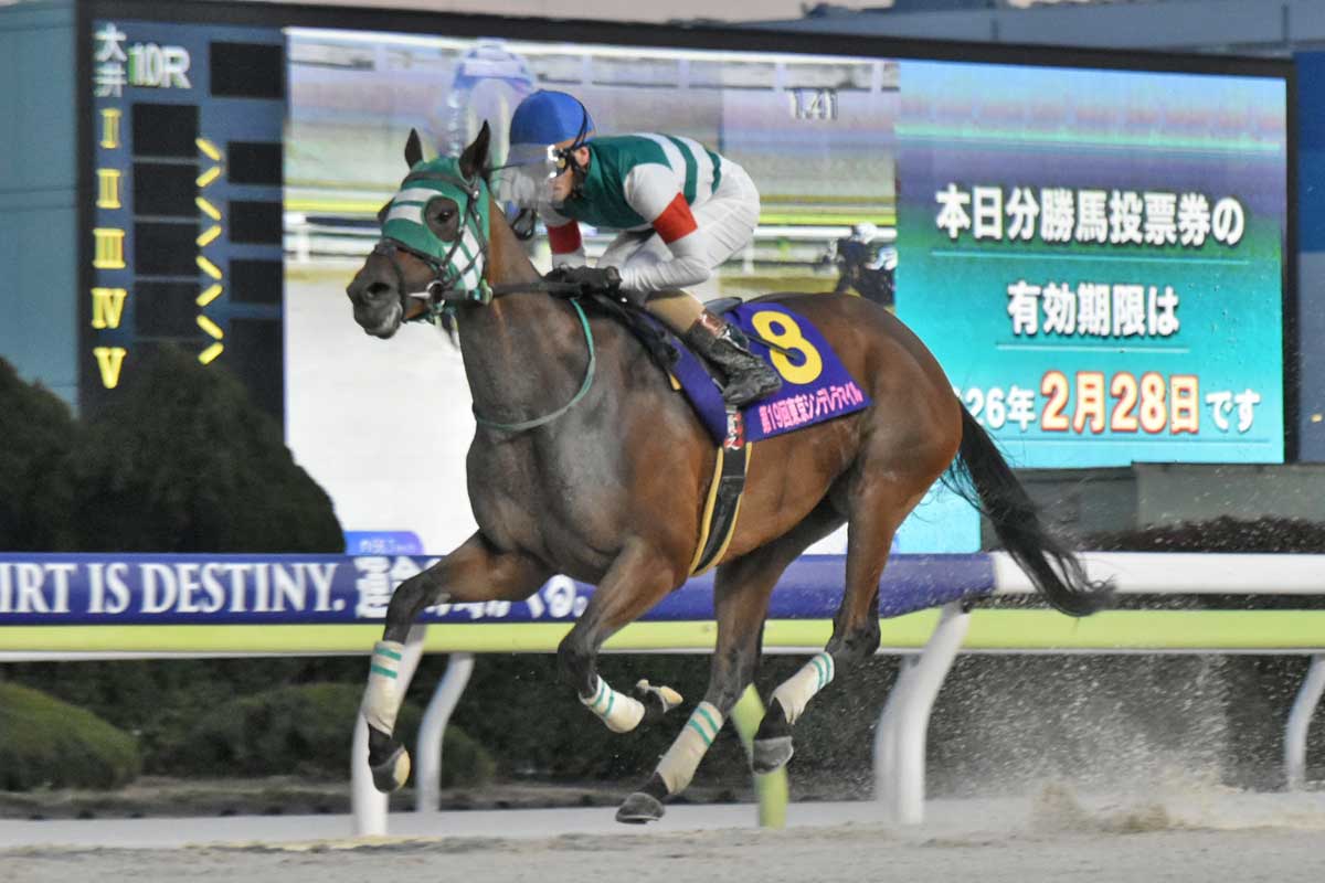 JRA賞】イクイノックスが年度代表馬に輝く 最優秀ダートホースは