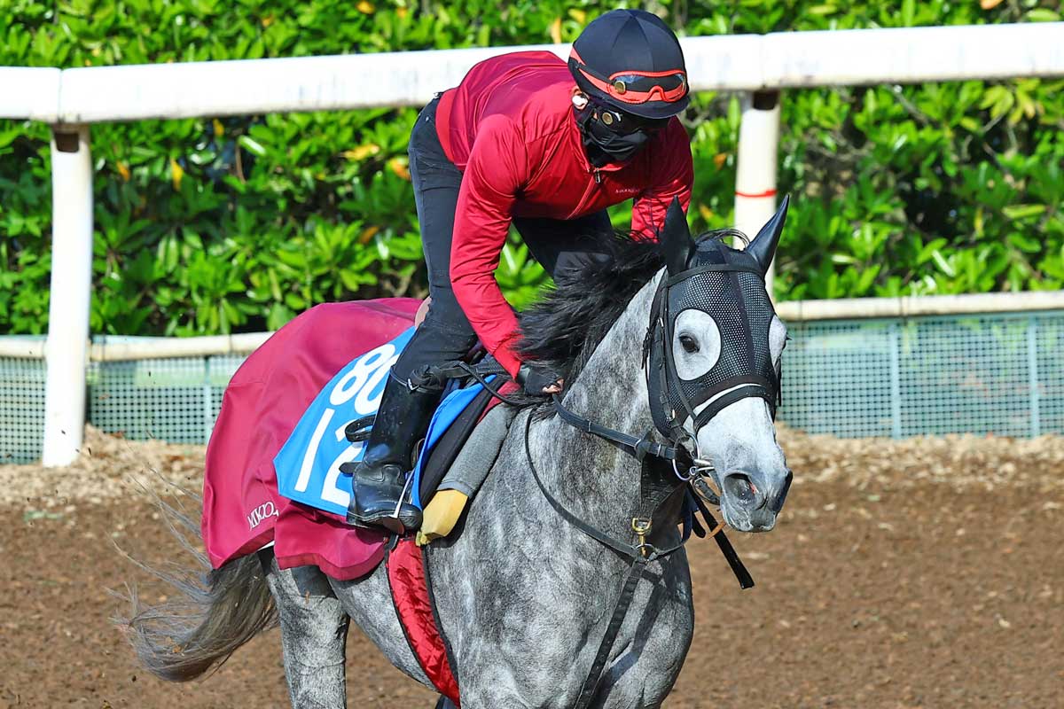 武豊ウオッカ衝撃の7馬身差V！「一瞬で抜け出してしまった