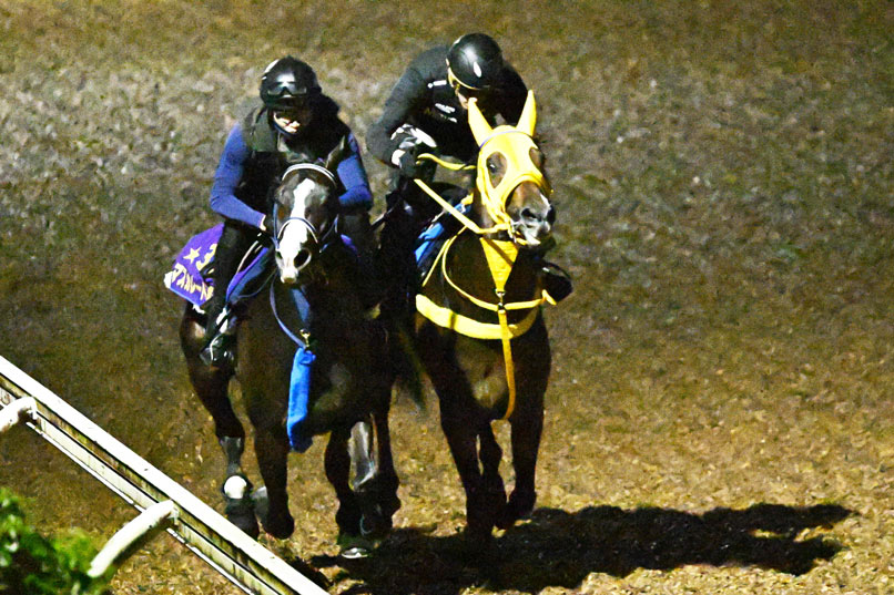 1998年有馬記念】「単勝14・5倍」のグラスワンダーが〝超早熟