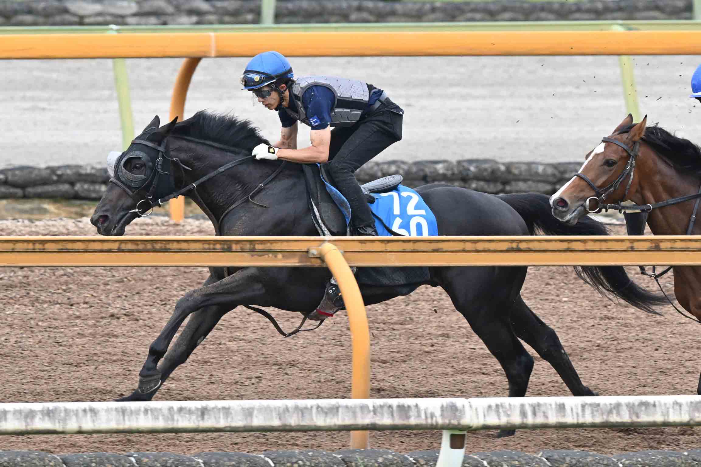 1998年有馬記念】「単勝14・5倍」のグラスワンダーが〝超早熟