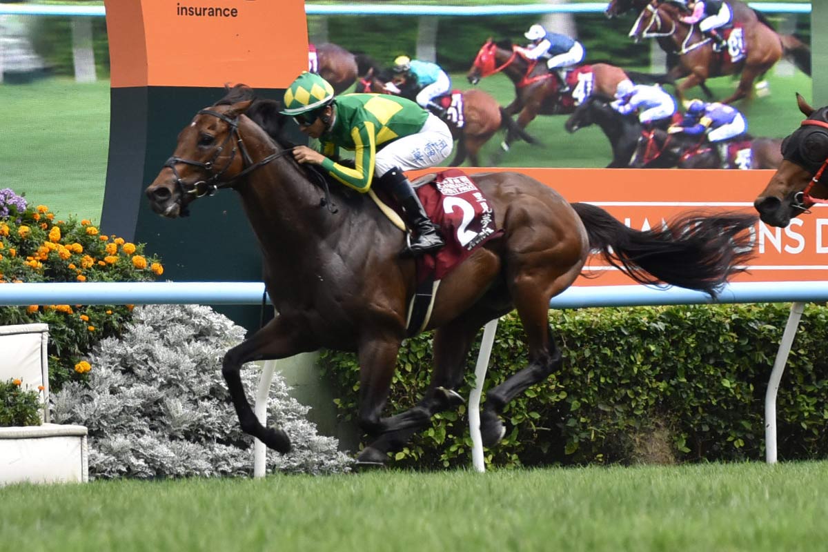 2歳新馬】ドゥラメンテ産駒ミスタージーティーが最速上がりで初陣V