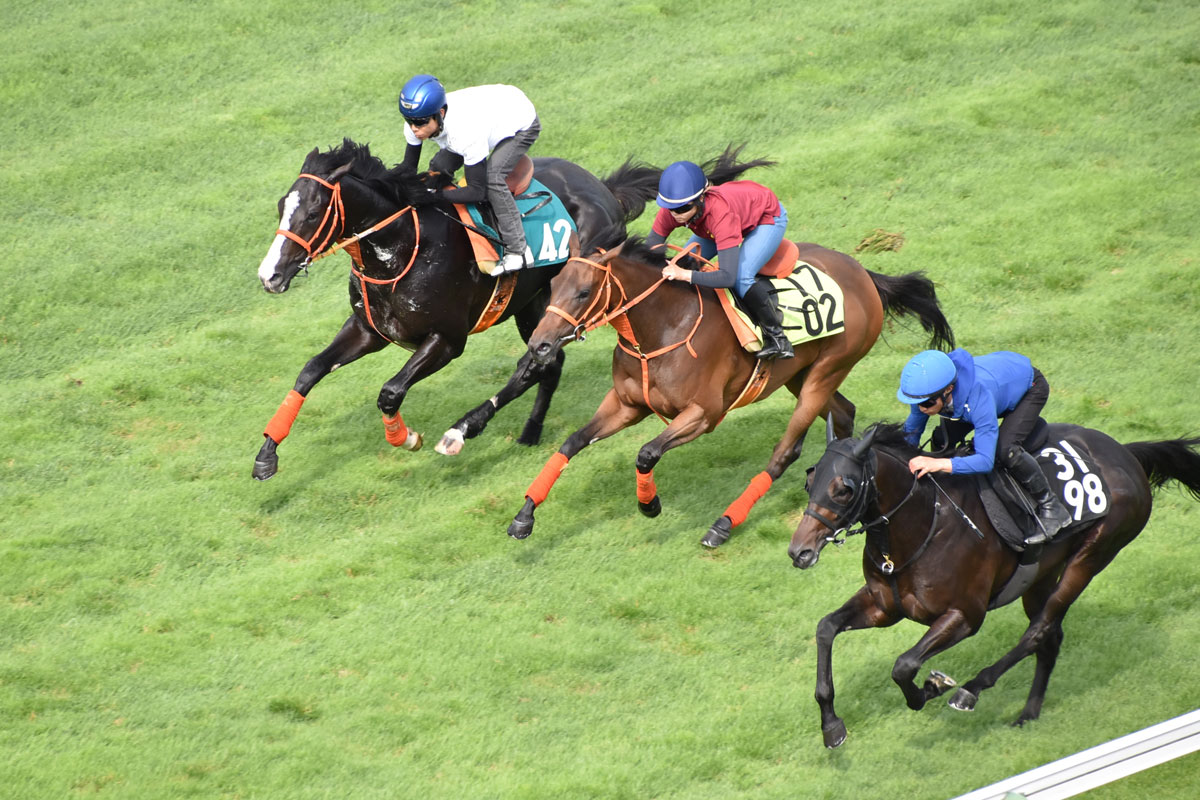 1988年有馬記念】芦毛対決！オグリキャップがタマモクロスに一矢報