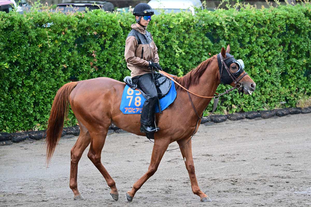 ドバイシーマクラシック】カランダガンが盤石の差し切り GⅠ・5連勝で