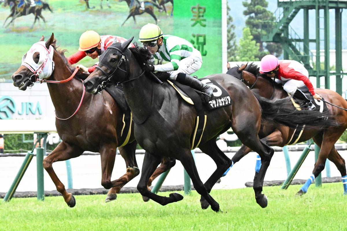 カラクニダケが宮崎県産馬8年ぶりの新馬勝ち 谷潔調教師は