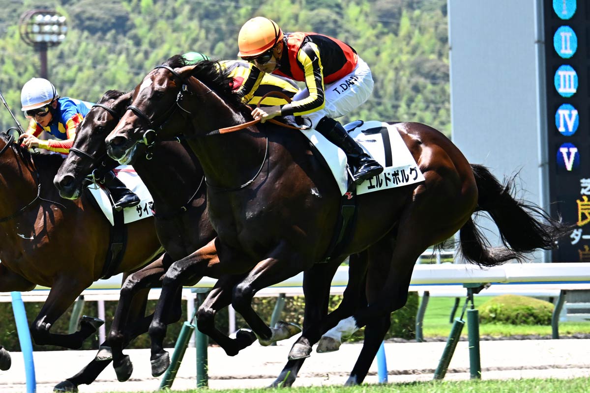 プレゼント】矢作厩舎〝JRA通算800勝〟特製記念グッズを大放出