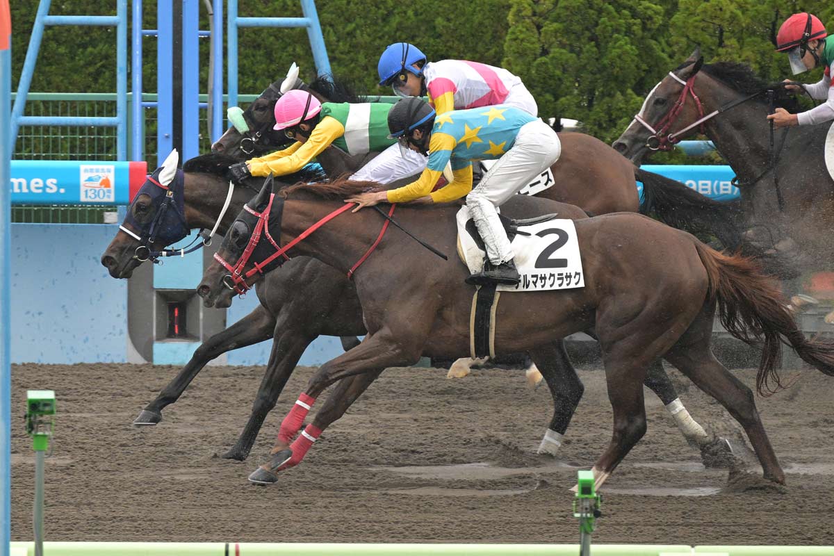 武豊一覧 | 競馬ニュース・特集なら東スポ競馬