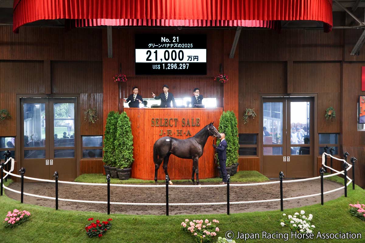 キタサンブラック×仏オークス馬＝2億3000万円 矢作芳人調教師「重厚な