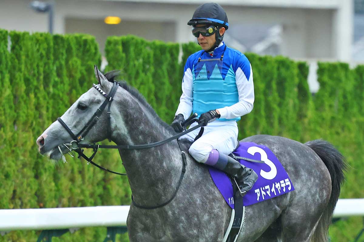 マイラーズC】快勝アドマイヤズーム武豊との「相性の良さ」が大きな
