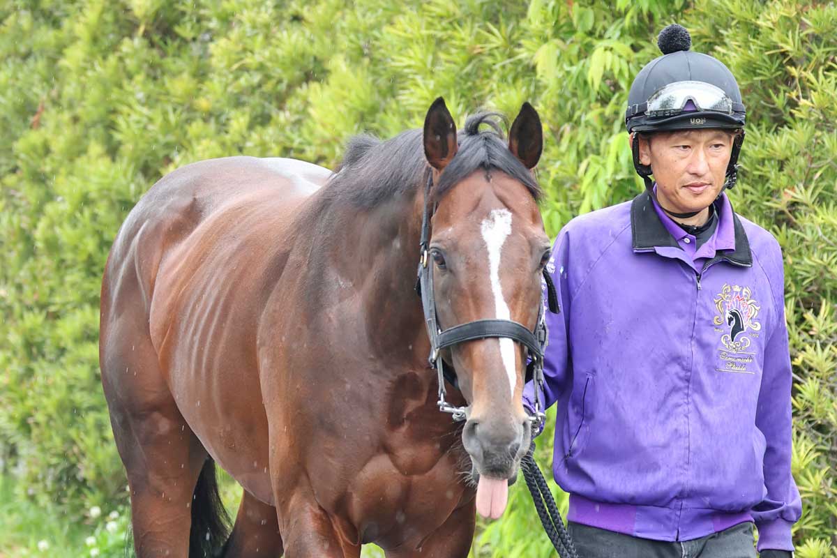 セレクトセール2024】藤田晋氏が5億9000万円ホースで競り