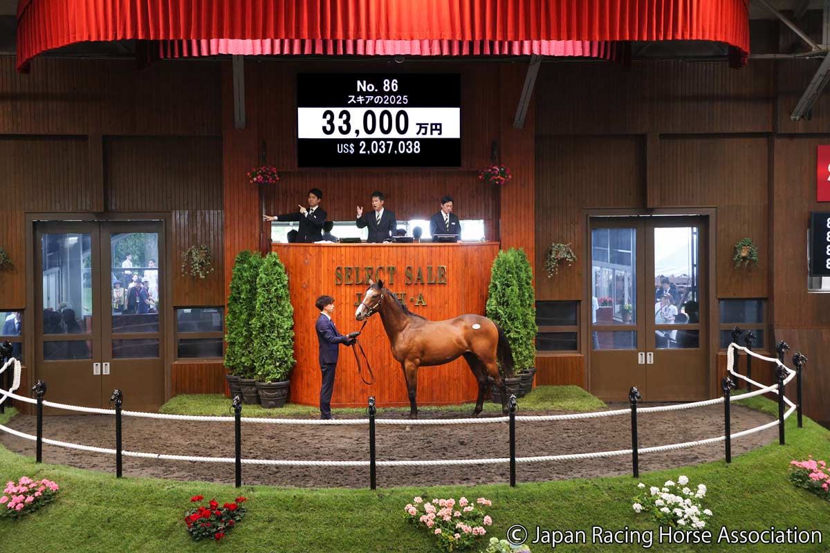 昭和5年4月6日の乗馬会　将校乙班競技　第2等賞の賞品 皐月賞馬ソールオリエンスの全弟は3億3000万円 藤原英昭調教師「夢の
