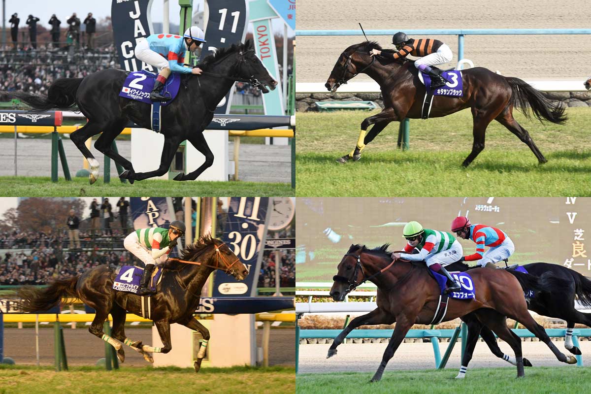 ドバイシーマクラシック】カランダガンが盤石の差し切り GⅠ・5連勝で