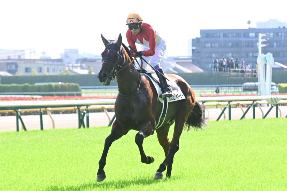 若駒のレースで大切なものとは？ 桜花賞12着の「13番人気」に印を回