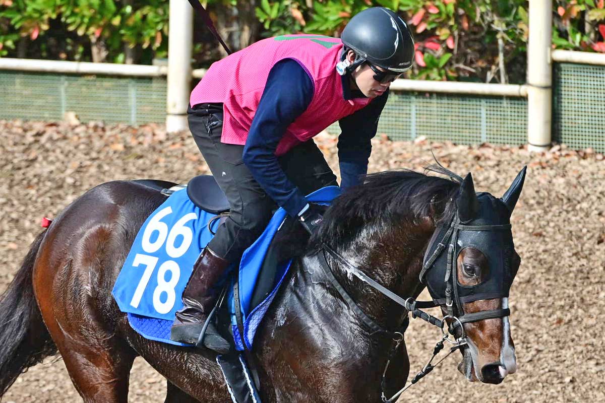 福島記念】パンサラッサ大逃げで4馬身差圧勝 菱田「馬がすごくいい