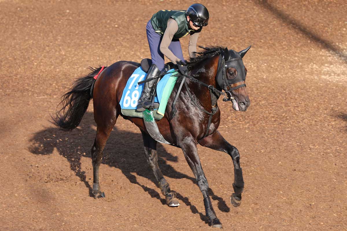 福島記念】パンサラッサ大逃げで4馬身差圧勝 菱田「馬がすごくいい