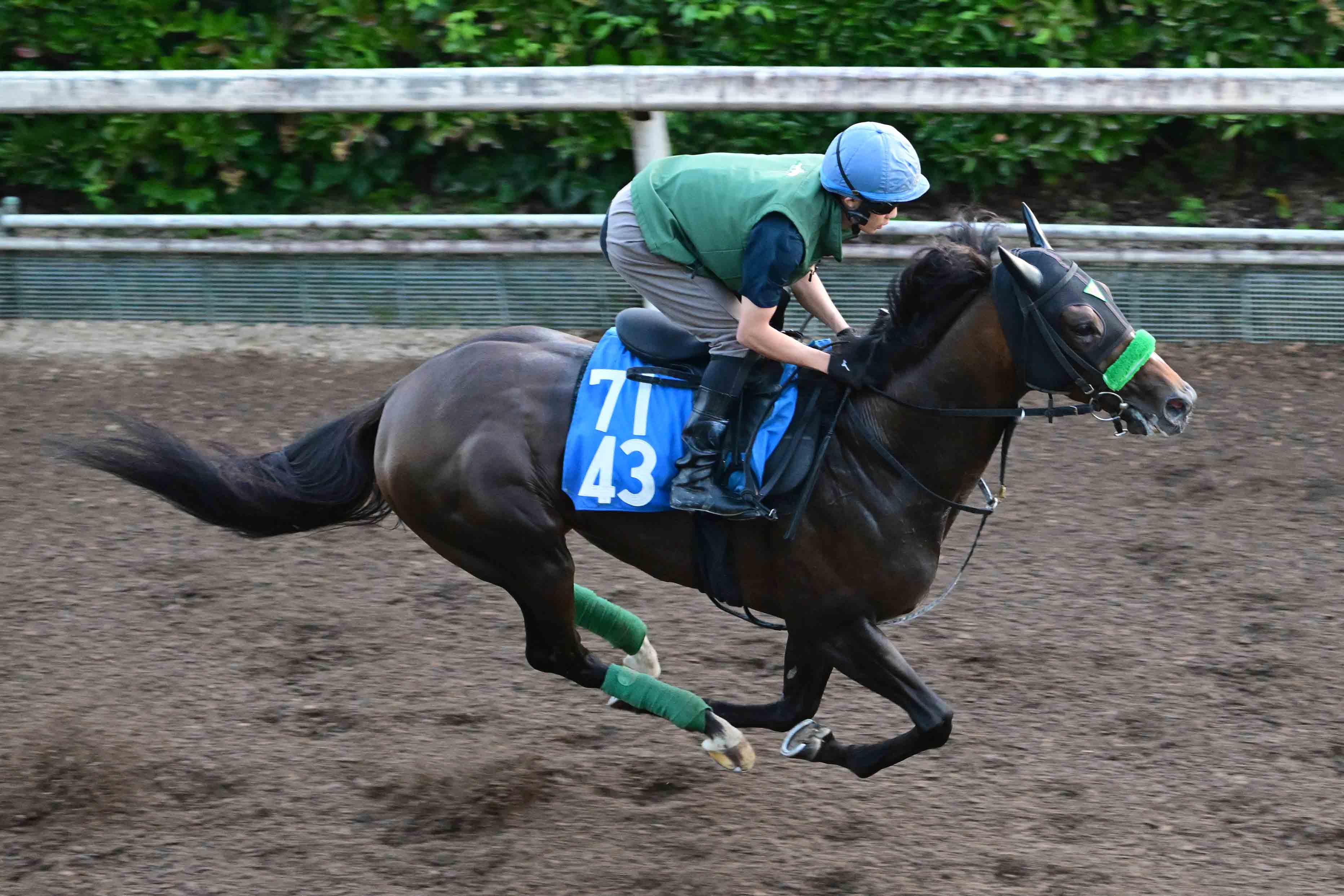 千葉直人調教師が武豊騎乗のセイウンプラチナでJRA初勝利「自分の