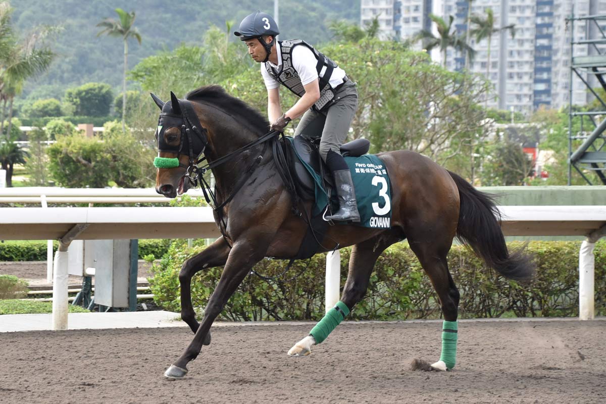 ミモザ賞・中山8R】オークスの新星となるか 3番人気エセルフリーダ