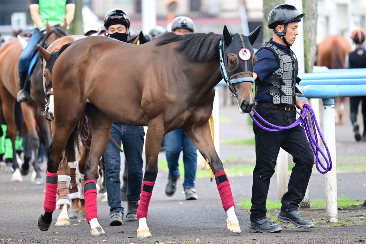 プレゼント】3冠牝馬デアリングタクト＆「二刀流」モズアスコットの