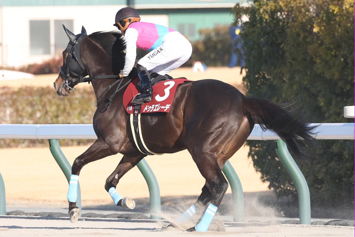 02年皐月賞馬ノーリーズン死す 25歳 抽選突破から単勝万馬券での劇