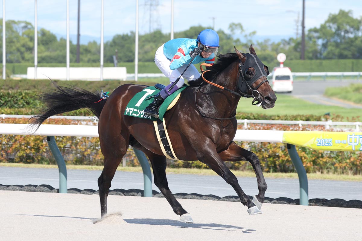 ダート重賞2勝ヤマニンウルスが引退、種牡馬入り デビュー戦4秒3差圧勝