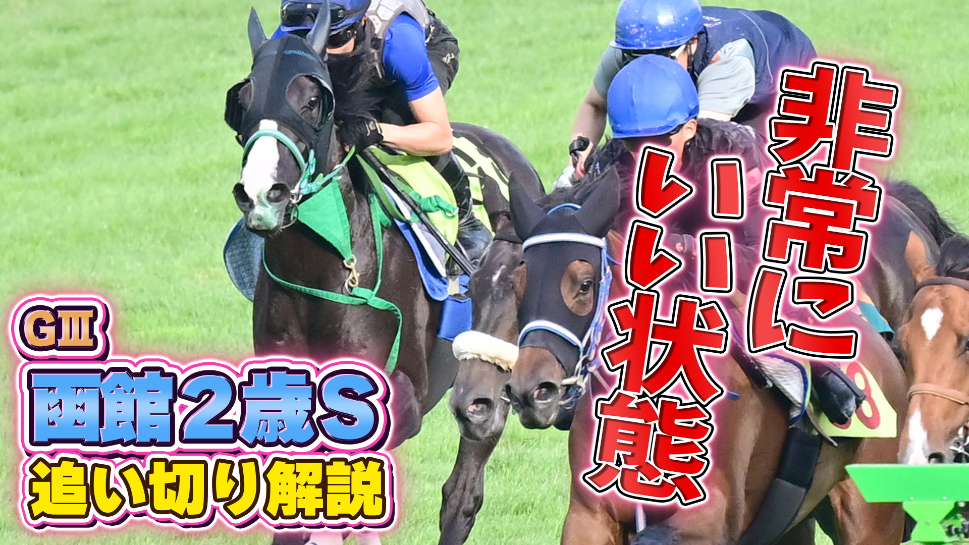 天皇賞・春2026】クロワデュノール・北村友一騎手「馬と信頼関係ができ