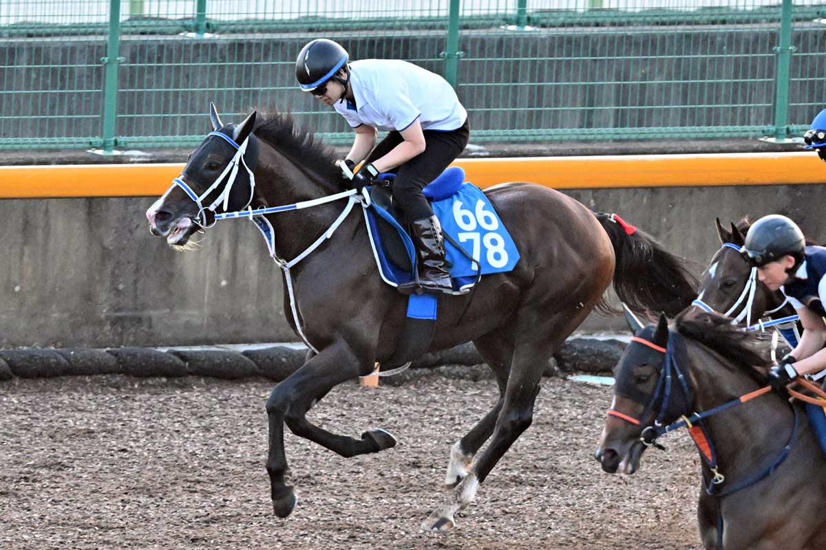 ドバイシーマクラシック】カランダガンが盤石の差し切り GⅠ・5連勝で