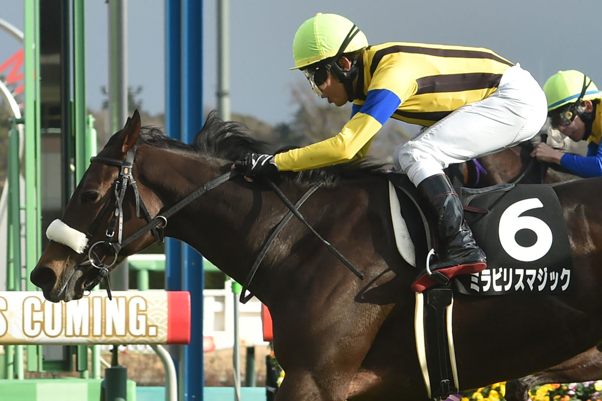 1998年有馬記念】「単勝14・5倍」のグラスワンダーが〝超早熟