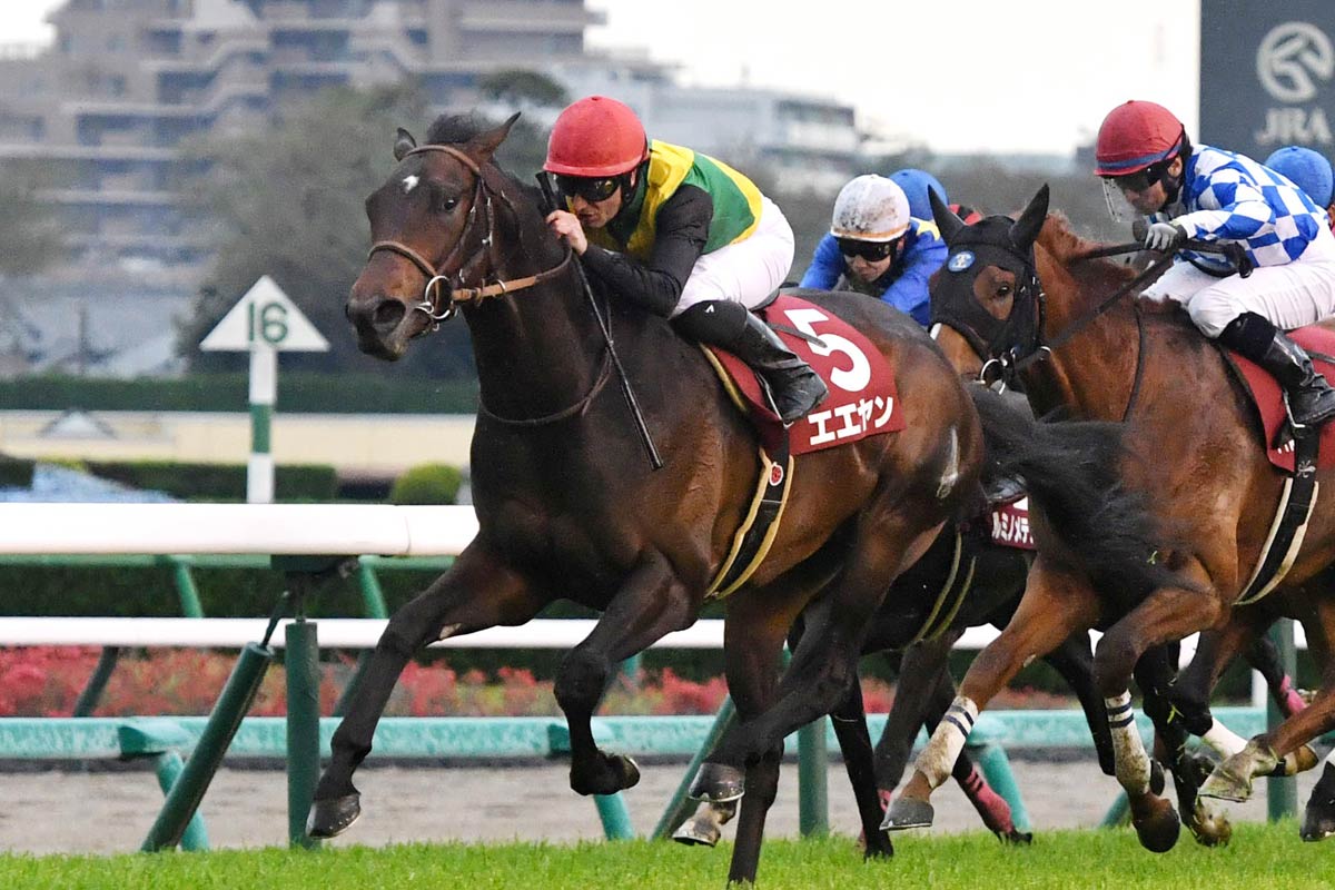 岡部幸雄氏が誘導馬騎乗でファン喝采 JRA2943勝の名手が70