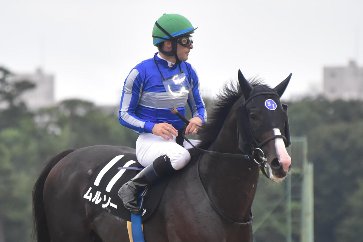 2002年・シンザン記念】タニノギムレットの「原点」 種牡馬を