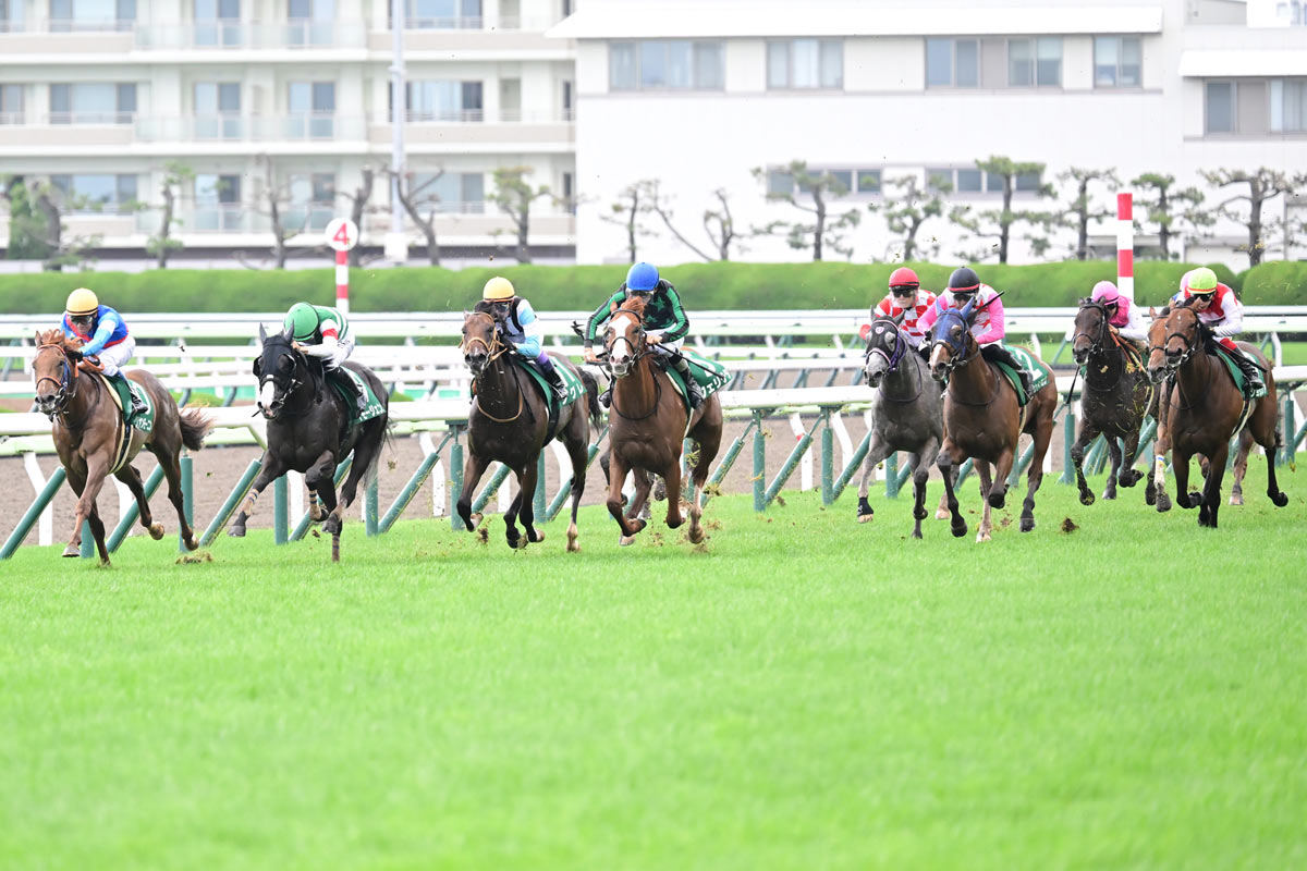 函館2歳S結果＆コメント】フェリチタが世代最初のJRA重賞V 横山和生