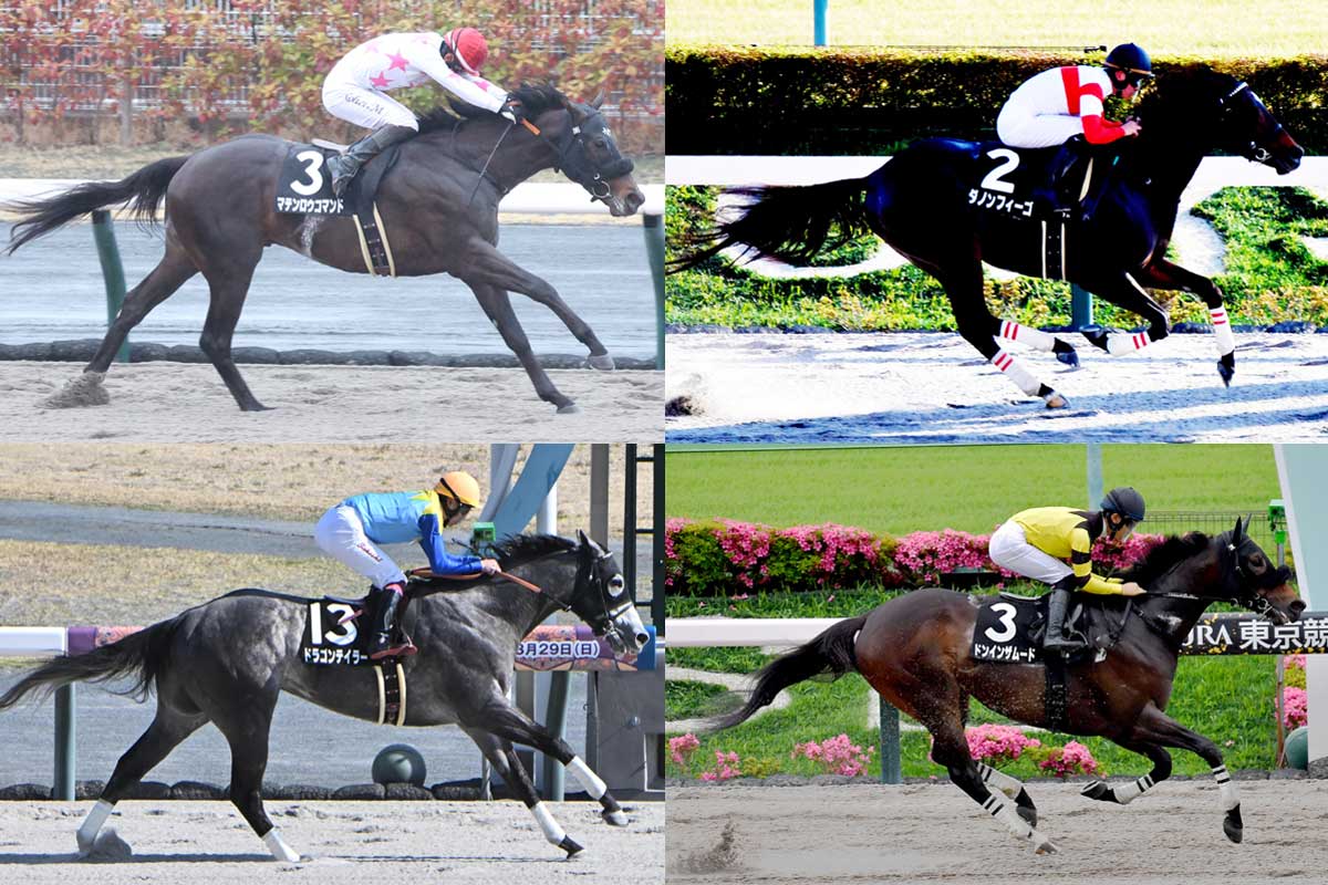 サイン馬券・高松宮記念】リピーターの活躍が目立つ！ 人気馬から穴馬