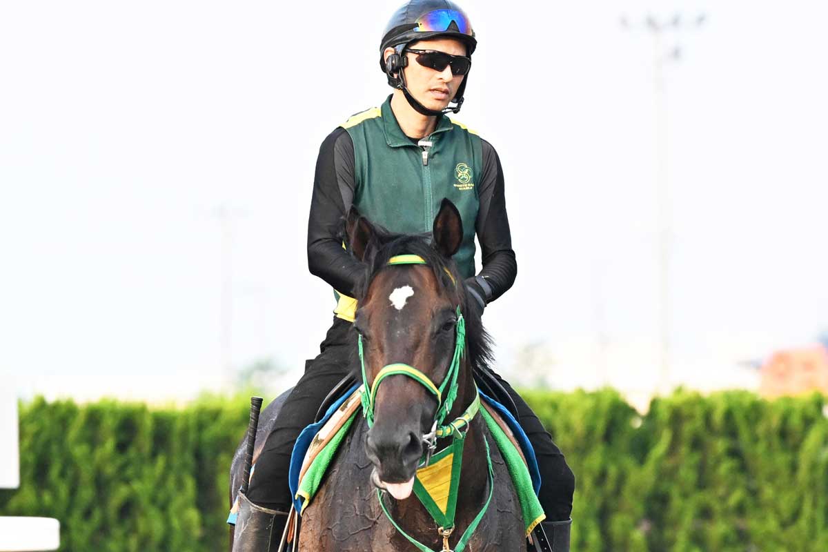 ジャパンC展望】最強イクイノックスを止める馬は？ 3冠牝馬リバティ