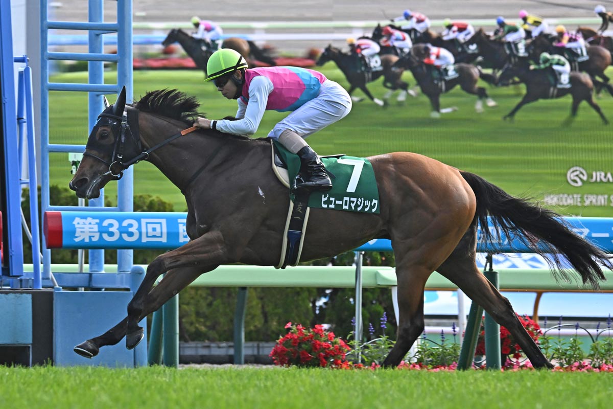 1997年フェブラリーS】初代王者は〝かみつき馬〟シンコウ