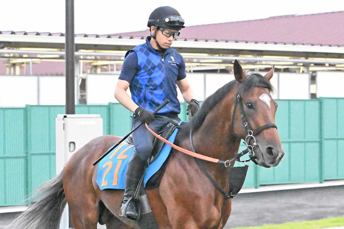 2000年フェブラリーS】ペリエとの出会いで覚醒！ウイングアローの