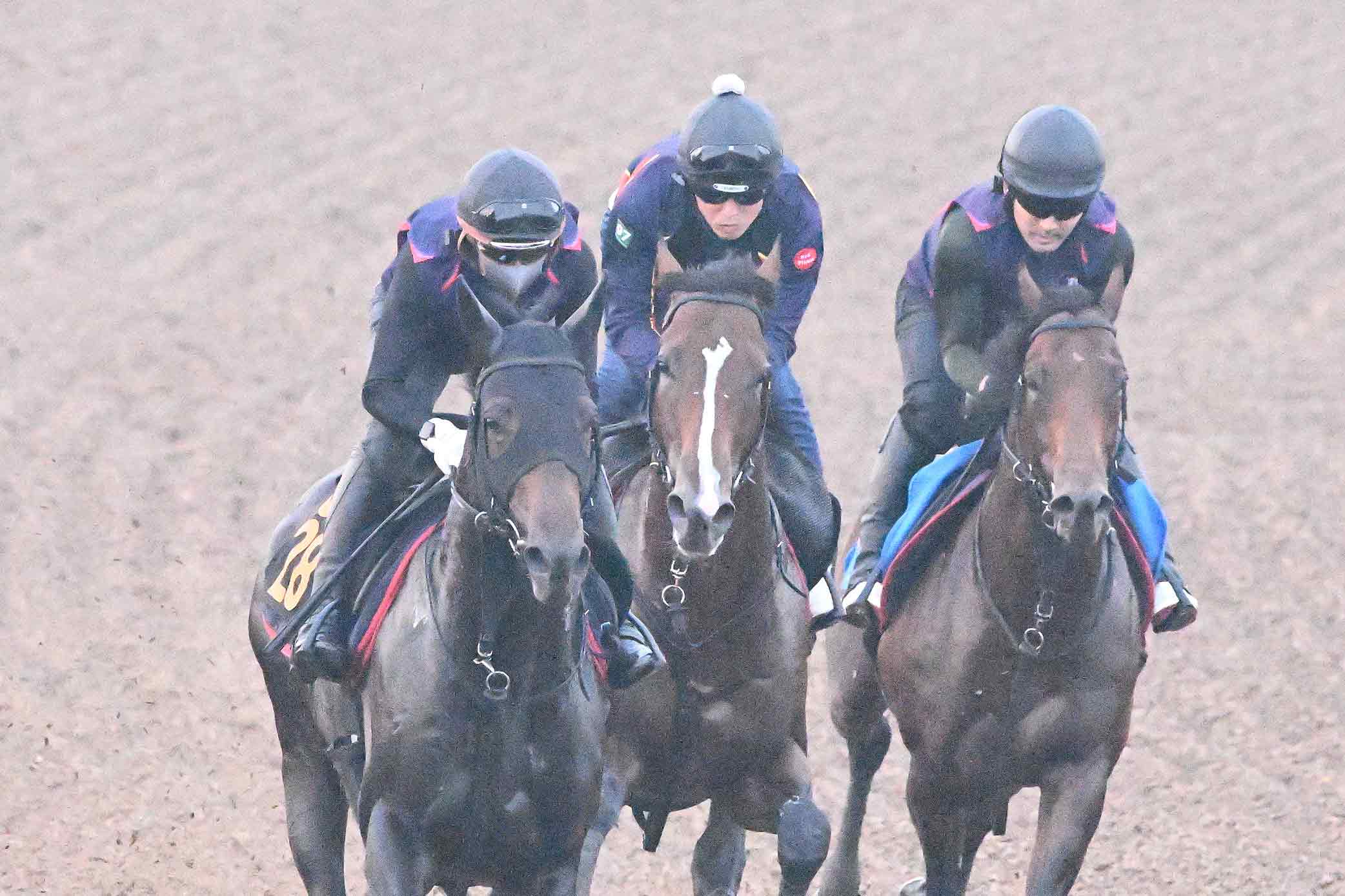 1998年有馬記念】「単勝14・5倍」のグラスワンダーが〝超早熟