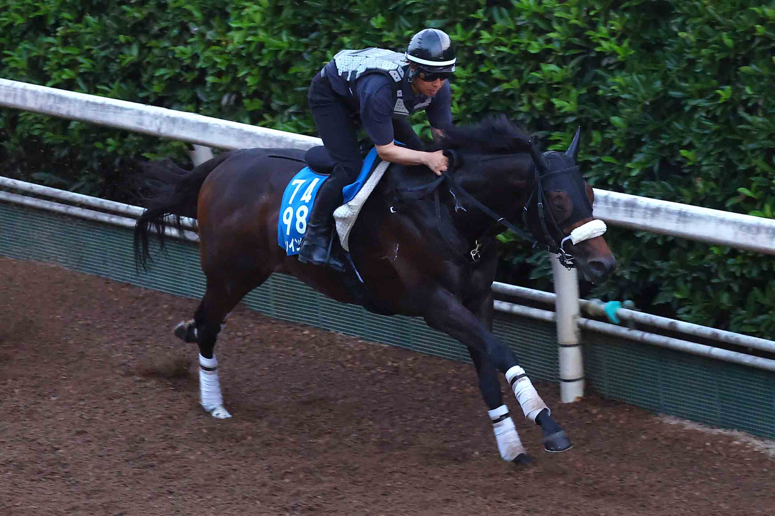 虎石晃〝真〟虎の巻物】日曜阪神4R 〝思惑〟が見え隠れする季節…勝負