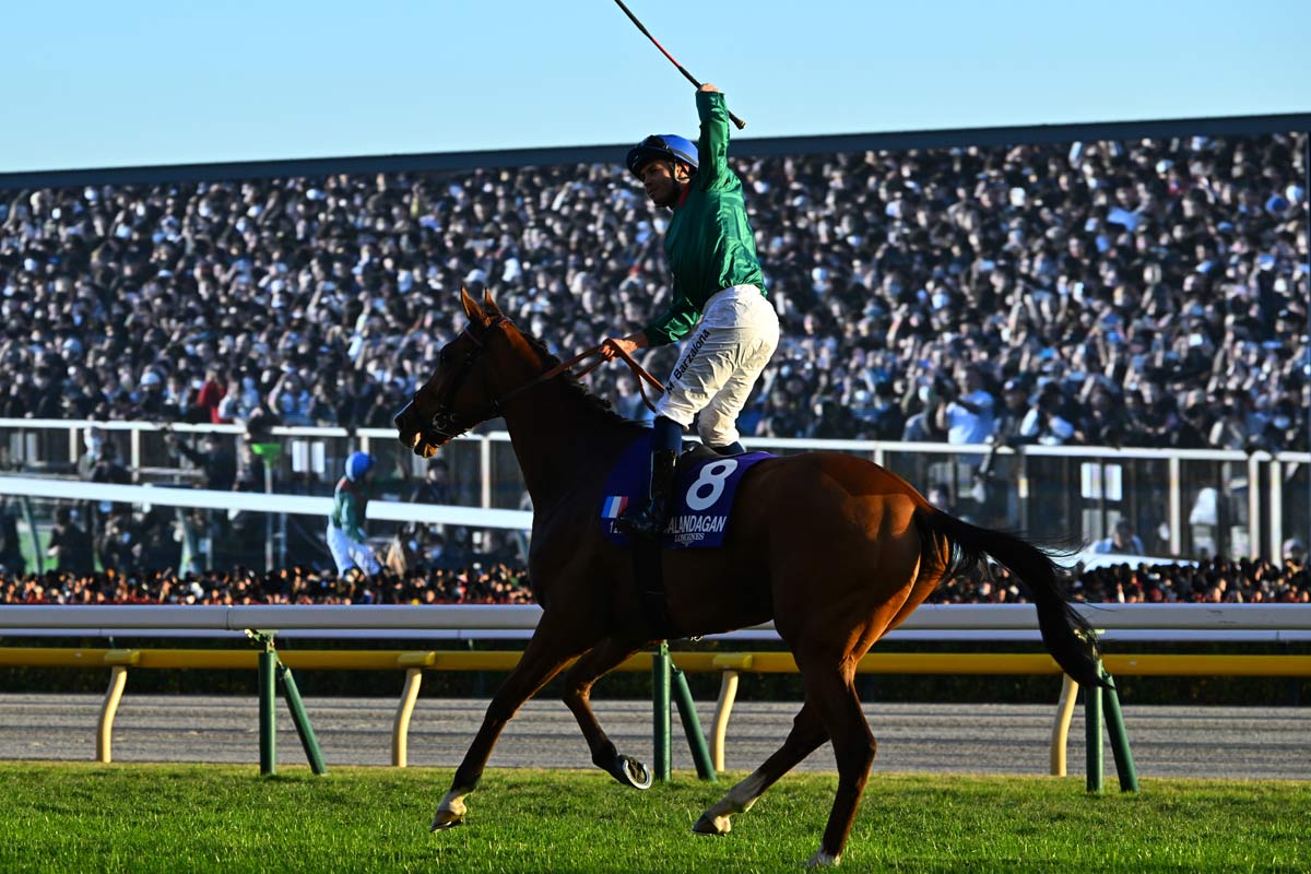 ジャパンC・河内洋のGⅠを斬る】強い競馬をしたマスカレードボールより