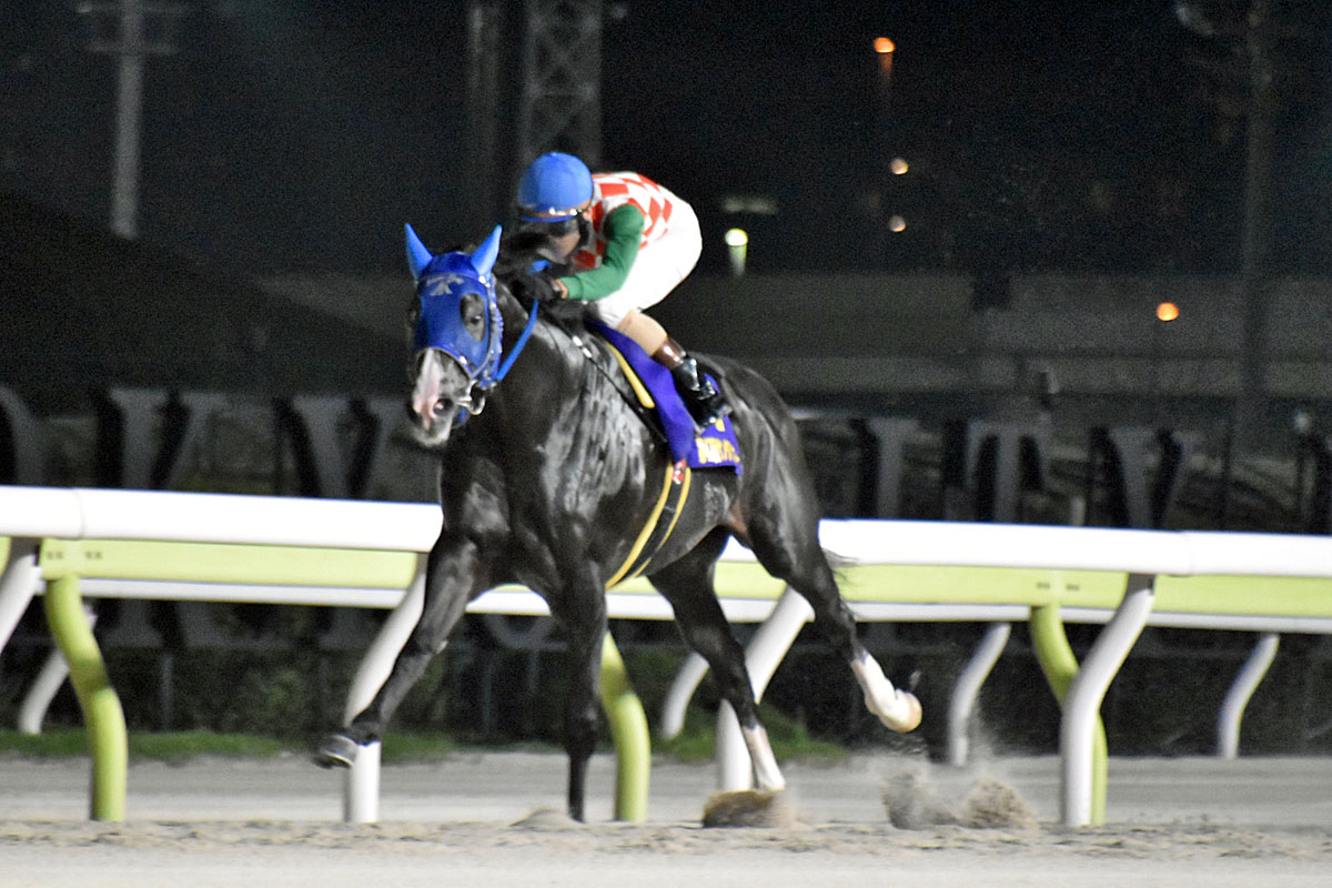 福島記念】有馬記念で大逃げ再び！？ 重賞初Vパンサラッサに矢作師も
