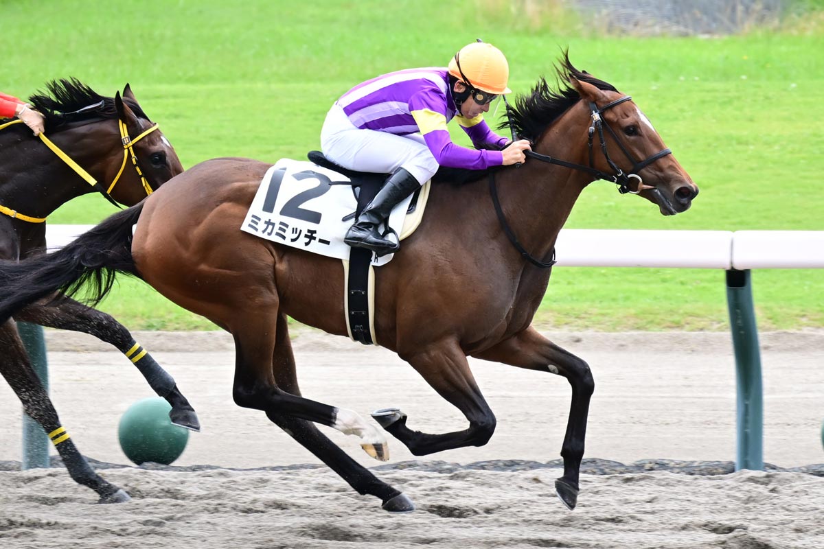 プレゼント】矢作厩舎〝JRA通算800勝〟特製記念グッズを大放出
