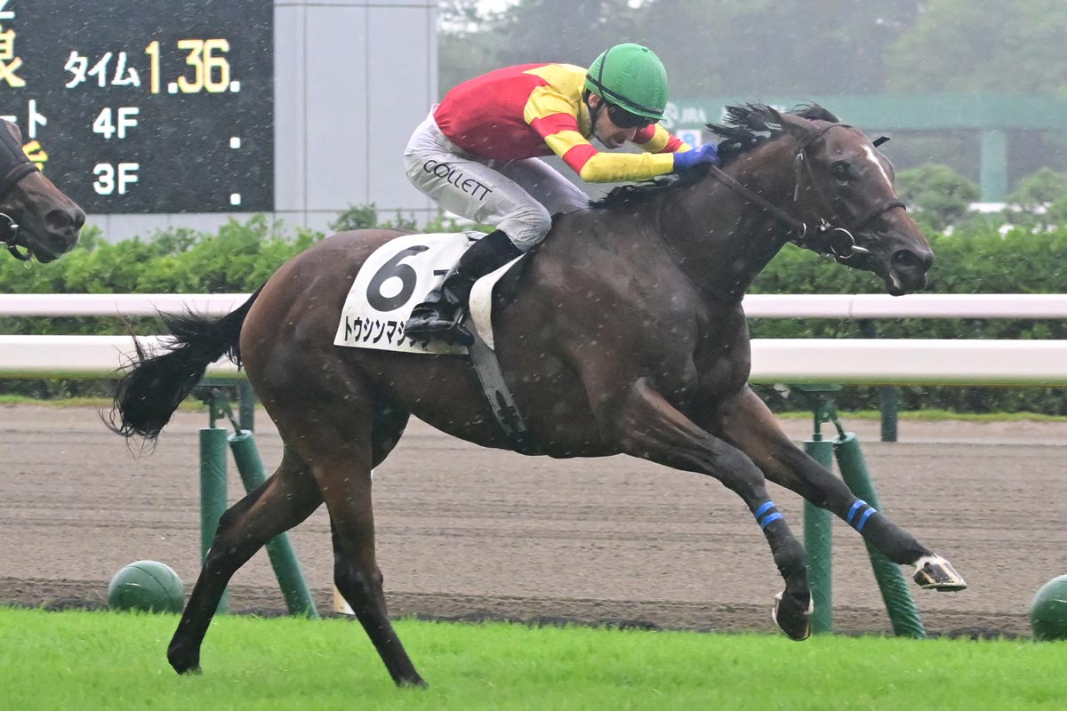 02年皐月賞馬ノーリーズン死す 25歳 抽選突破から単勝万馬券での劇