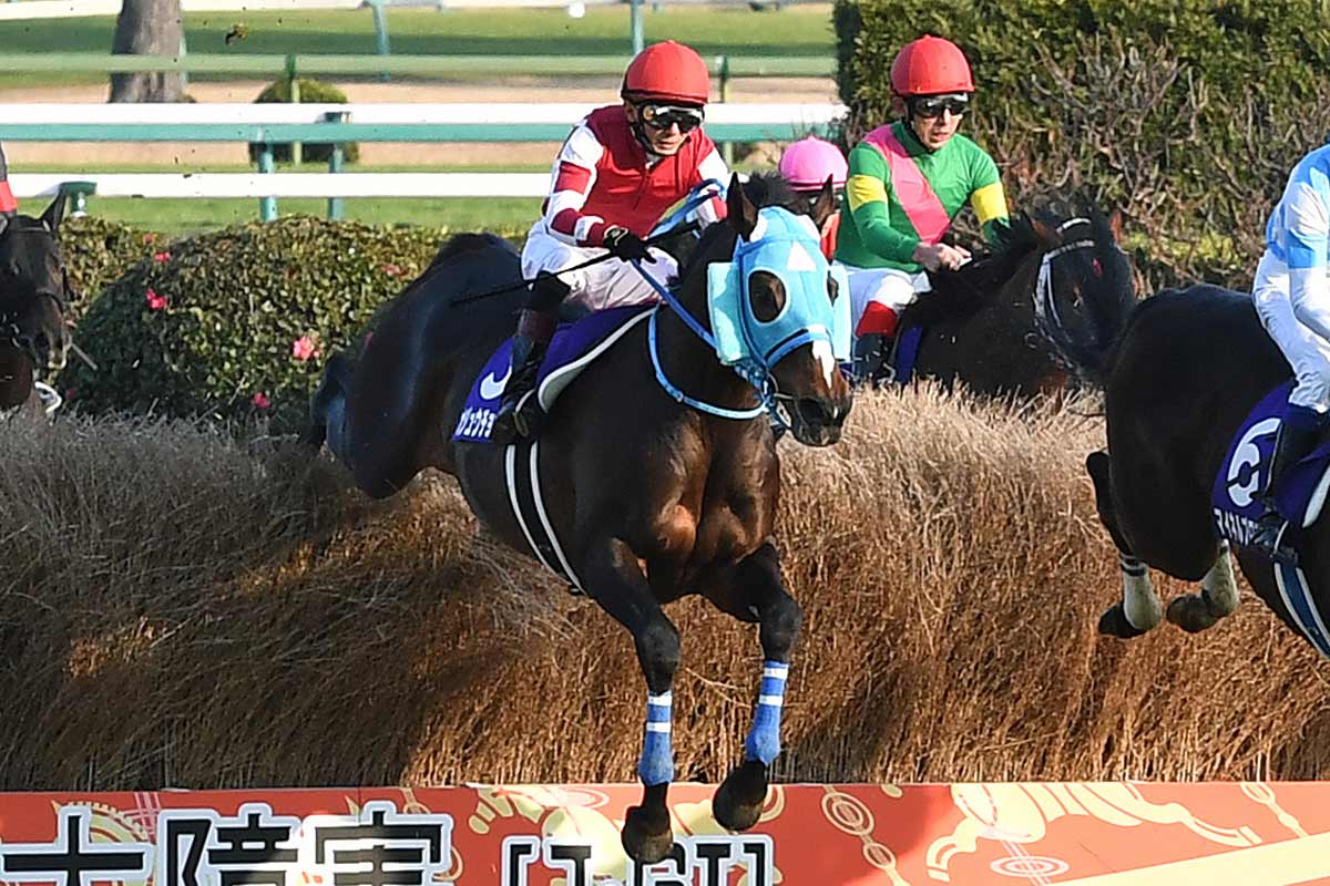 02年皐月賞馬ノーリーズン死す 25歳 抽選突破から単勝万馬券での劇