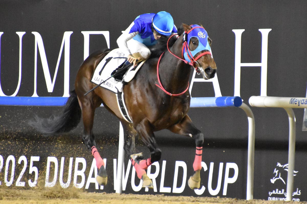 02年皐月賞馬ノーリーズン死す 25歳 抽選突破から単勝万馬券での劇